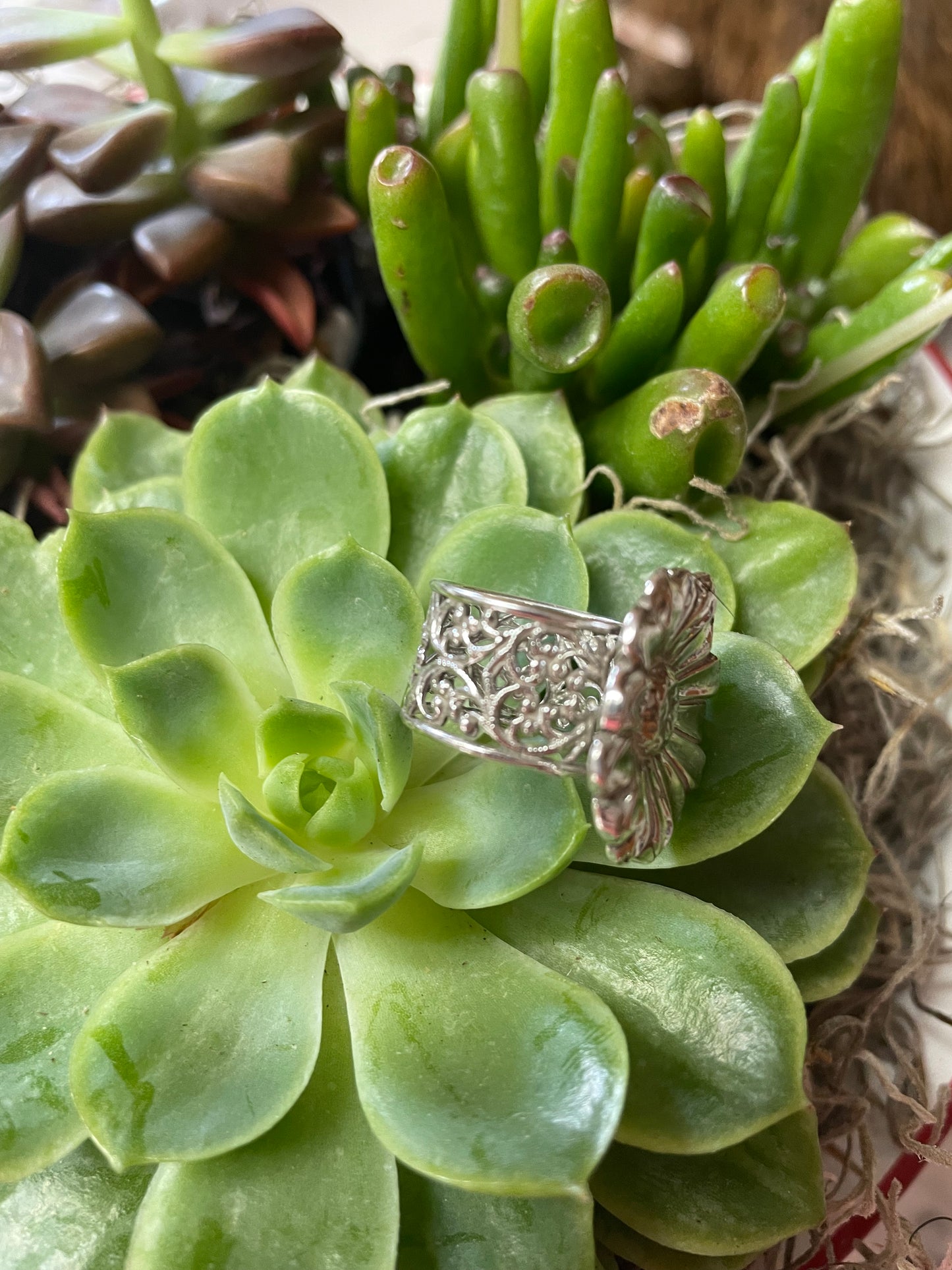 Sterling silver daisy ring